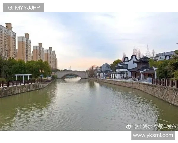 吾米提江封堵上海海港引发的生态与经济影响分析