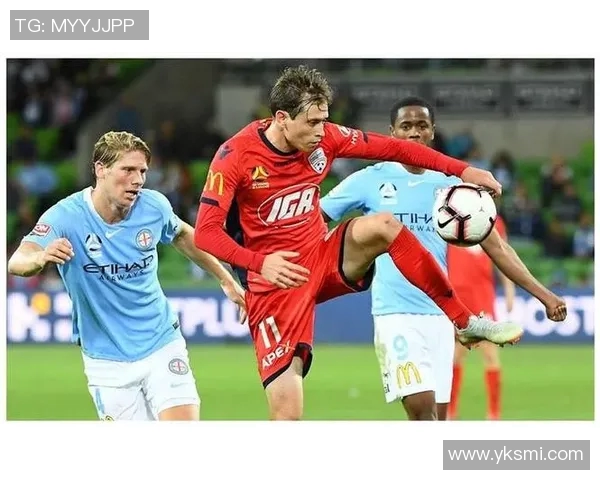 汉堡客场逼平保持不败，展现强大实力